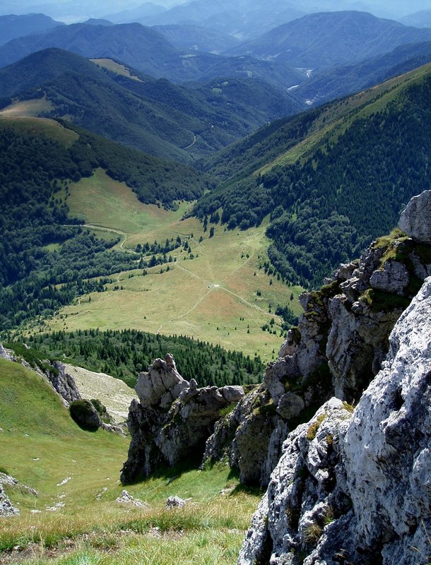 Utsikt ner för Velky Rozsutec (1610m) branta sluttning
