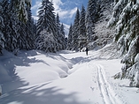 start på skidalpinism i Jasna (Nizke Tatry)